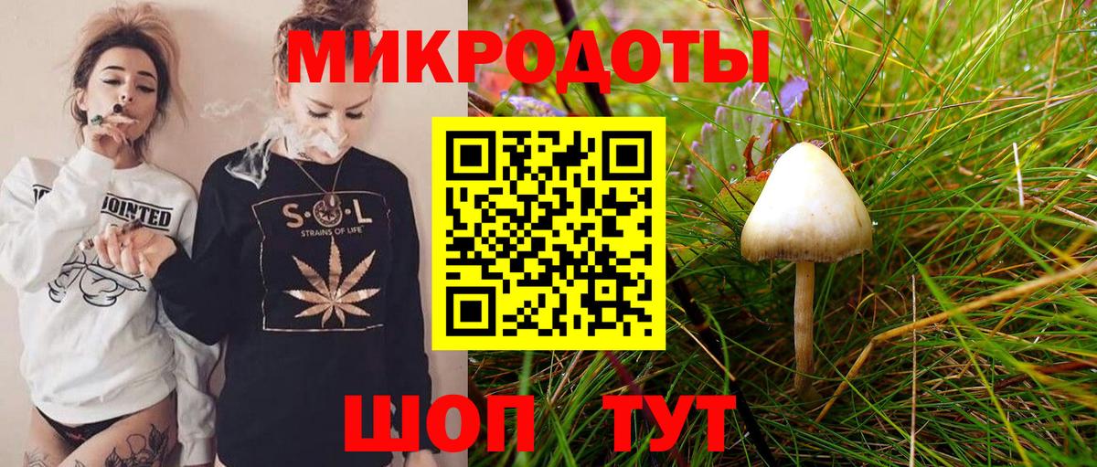 Псилоцибиновые грибы GOLDEN TEACHER Биробиджан