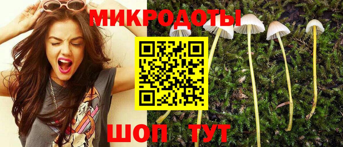 как найти   Галлюциногенные грибы GOLDEN TEACHER  Вход с VPN  Биробиджан  Псилоцибиновые грибы мухоморы 